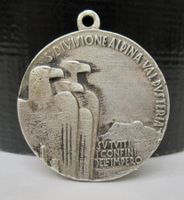Medaille S`divisione Alpina Valpvsteria AR